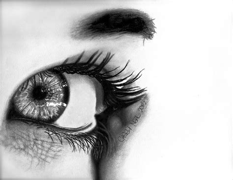 Eye Reflection Drawing at PaintingValley.com | Explore collection of Eye Reflection Drawing