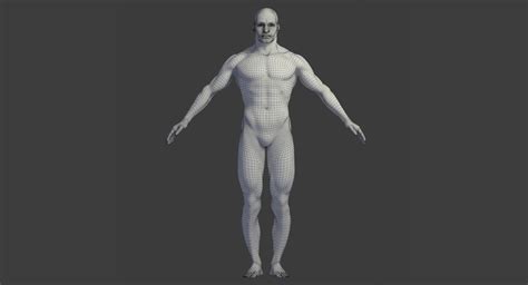 3d model realistic body head male