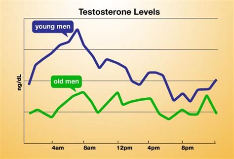 Exercise Optimizes Testosterone Production