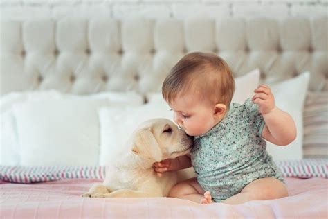 27 Precious Photos of Dogs and Babies That Will Melt Your Heart