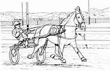 Race Horse Coloring Page  Home sketch template