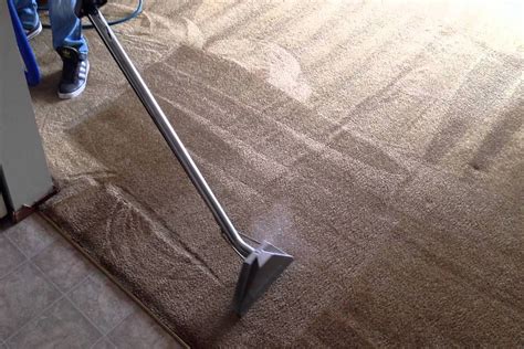 Rug Steam Cleaning Hallam - 0433 912 675