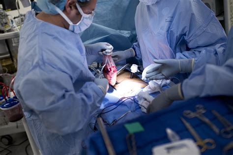 Inside look at kidney transplant (GRAPHIC IMAGES)