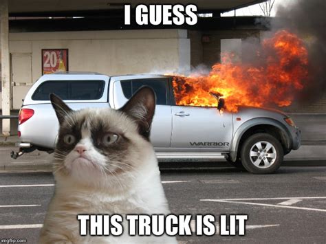 Grumpy Cat Fire Car - Imgflip