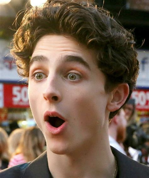 Pin by Bunga humainisah on timoothe chalamet | Timothee chalamet ...