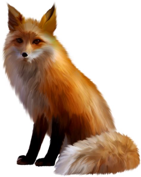 Red fox Sticker Arctic fox - fox png download - 817*1024 - Free Transparent RED Fox png Download ...