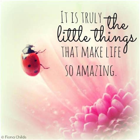 Ladybug Quotes. QuotesGram