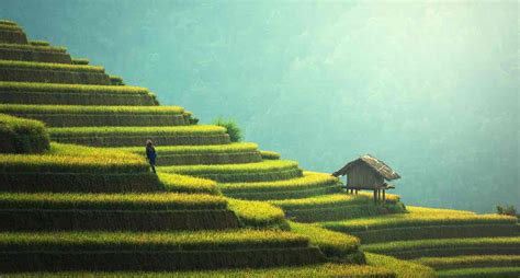 Vietnam Tips And Tricks: 26 Key Things To Know