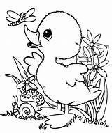 Cute Duck Coloring Pages At GetDrawings  Free Download sketch template