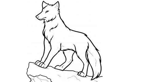 How to draw a wolf (Step by step tutorials for beginners)