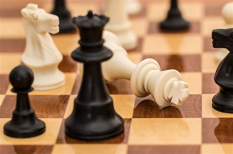 Checkmate Chess Resignation - Free photo on Pixabay