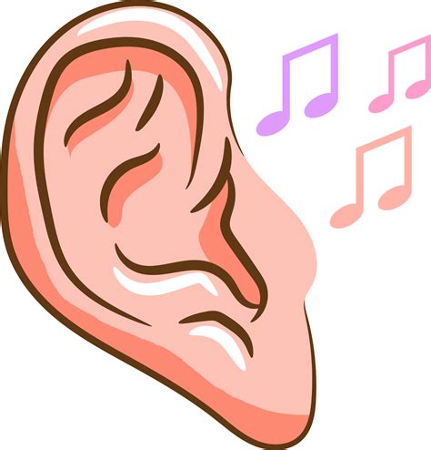 Ear listening graphic clipart design 19806666 PNG