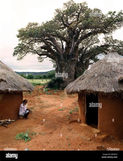 Limpopo traditional hi-res stock photography and images - Alamy