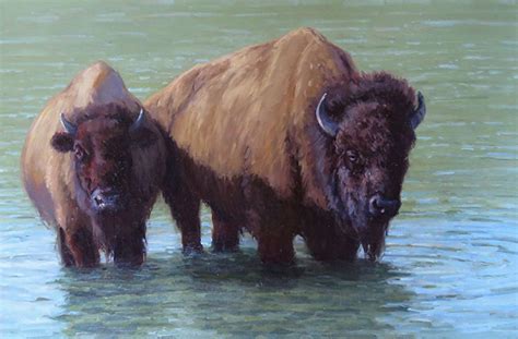 Water Buffalo by Kathleen Dunphy Oil ~ 24 x 36 | Animal paintings, Pet birds, Water buffalo