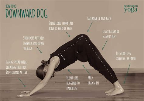 How to do: Downward Dog | Destination Yoga