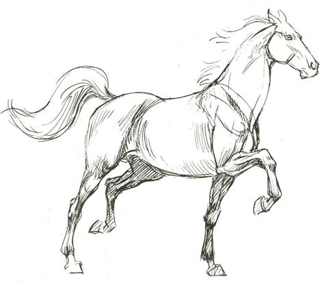 a drawing of a running horse with long manes and tail, drawn in pencil