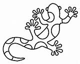Gecko Coloring Pages  Best For Kids sketch template
