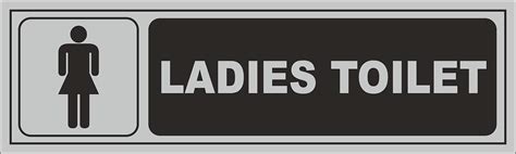 Buy Infinite Display Sign Stainless Steel Ladies Toilet Restroom age Board, (10"X3") Online at ...