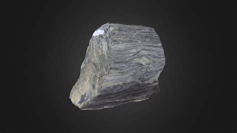 Permineralized or petrified wood (PRI) - Download Free 3D model by Digital Atlas of Ancient Life ...