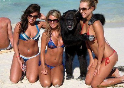 Top 14 Fun & Funny Beach Photos