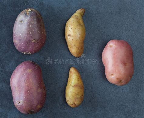 Six Kinds of Potatoes on Grunge Surface Stock Photo - Image of dark, blue: 68471178