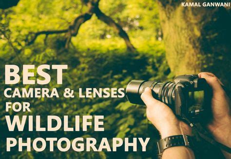 Top 10 Best Camera & Lenses for Wildlife Photography | Best camera lenses, Best camera, Wildlife ...