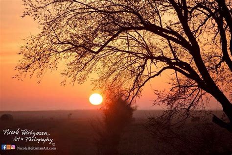 Tree Sunset photography tree silhouette spring Photo Print Gift for mom birthday gift for her ...