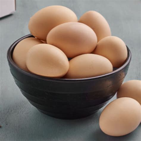 Buy Kadaknath Chicken Eggs Online Best Prices Delhi Gurgaon