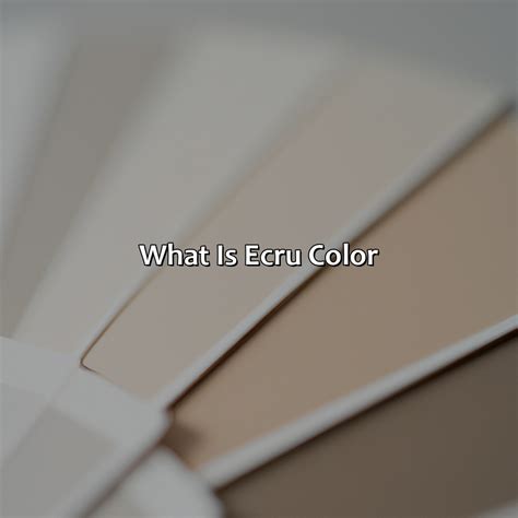 What Is Ecru Color - colorscombo.com