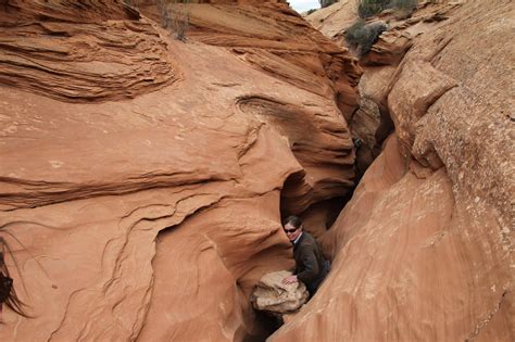 Colorado Plateau: Desert Canyons and Cultures - Wild Rockies Field Institute