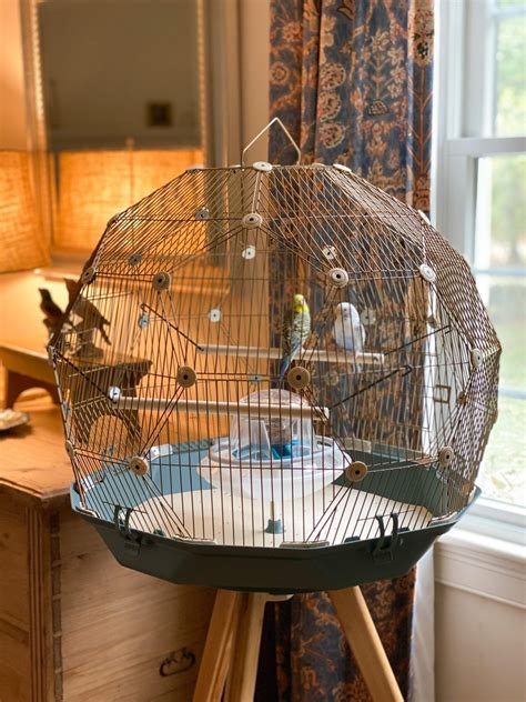 Geo Bird Cage: The Parakeets Get a New Home | Small bird cage, Bird ...