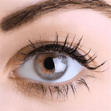 How to Identify Different Mascara? - Florafaery