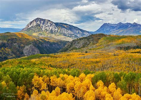 Fall colors over Kebler Pass. Crested Butte, Colorado [OC] (2048 x 1463 ...