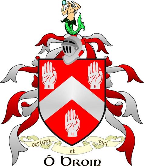 Popular Irish Surnames, Their Origin and Coat of Arms - The Irish Store ...