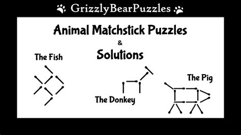 Animal Matchstick Puzzles with Solutions: Pig, Donkey and Fish. - YouTube