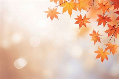 Autumn maple leaves border backgrounds | Premium Photo - rawpixel