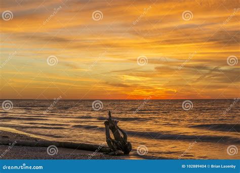 Driftwood on a Lake Huron Beach at Sunset Stock Photo - Image of ...