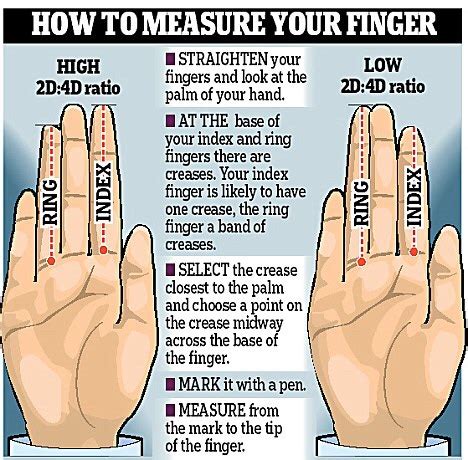 Finger length tells you everything? | SiOWfa15: Science in Our World ...