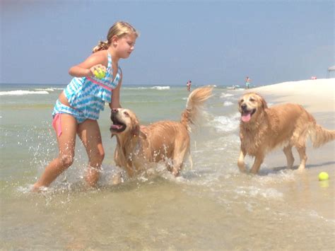 Take your dog on vacation! Pet friendly FL beach & vacation rentals ...