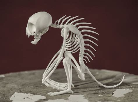 Chupacabra Skeleton by Brian_Richardson on (con imágenes) | Chupacabras, Impresiones en 3d ...