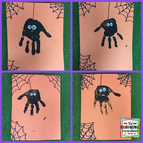 Spiders research project – Artofit