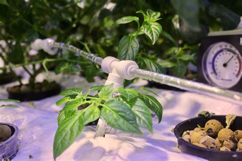 7 steps for Indoor High Pressure Aeroponics (HPA) – Vertiponic Gardens