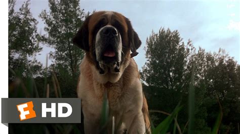 Cujo (1/8) Movie CLIP - A Bat Bites Cujo (1983) HD - YouTube