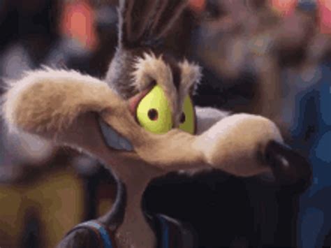 Wile E Coyote Sneaky Evil Wink GIF | GIFDB.com