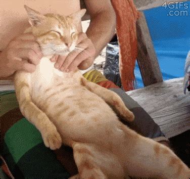 12 Relaxing GIFs to Help You Chill Out