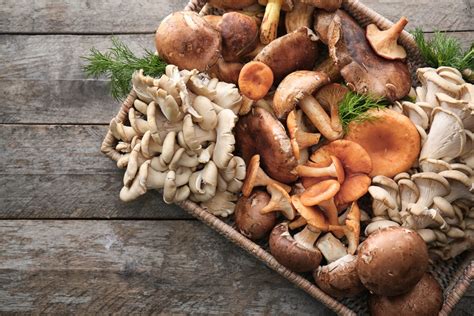 39 Different Types of Edible Mushrooms - Clean Green Simple