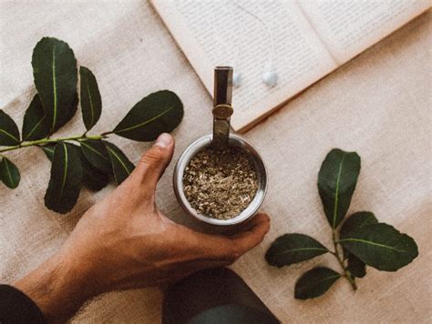 YERBA MATE vs COFFEE - Which one is Better?