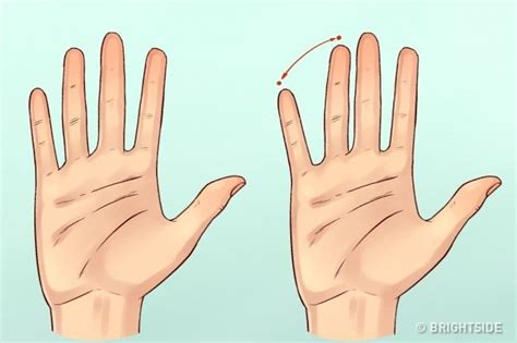 10 best hand shape tells person's character images on Pinterest | The shape, Palmistry and ...