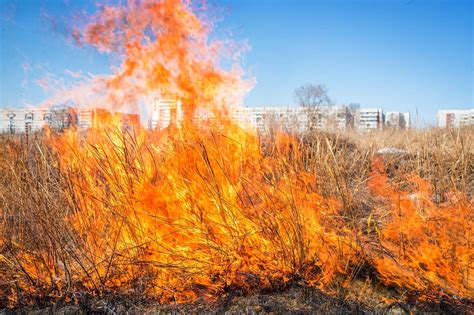 Smoke, Air Pollution Concerns Mount from Australia Wildfires | RT