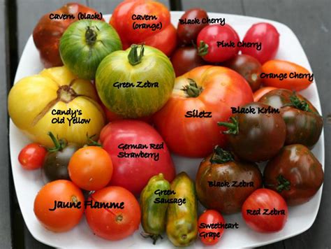 Heirloom Tomatoes Names at joycethodges blog